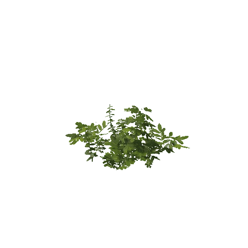 Plant 44_LOD_0